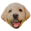 One