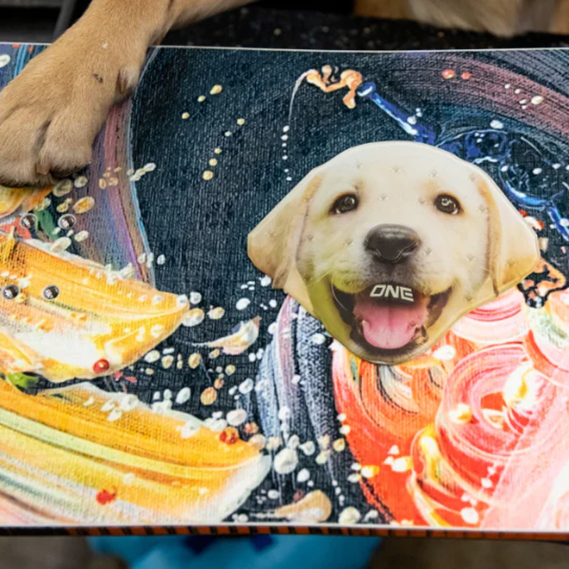 Lab, One Ball Jay Lab