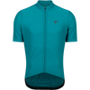 Gulf Teal