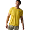 752-High Viz