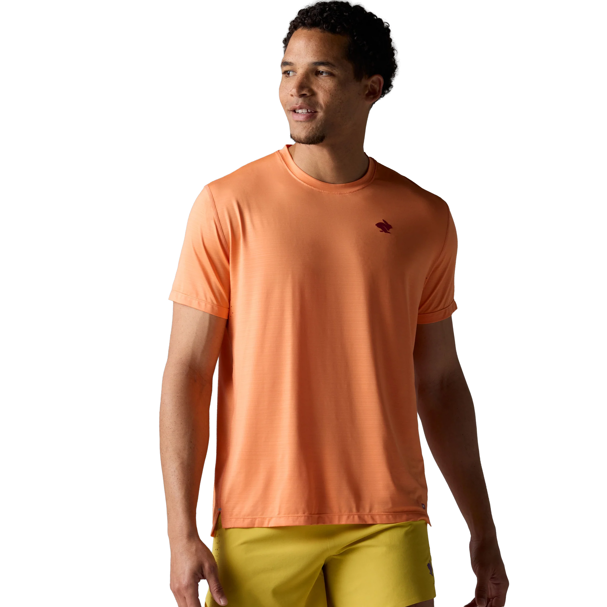 Men's UPF Tee SS alternate view