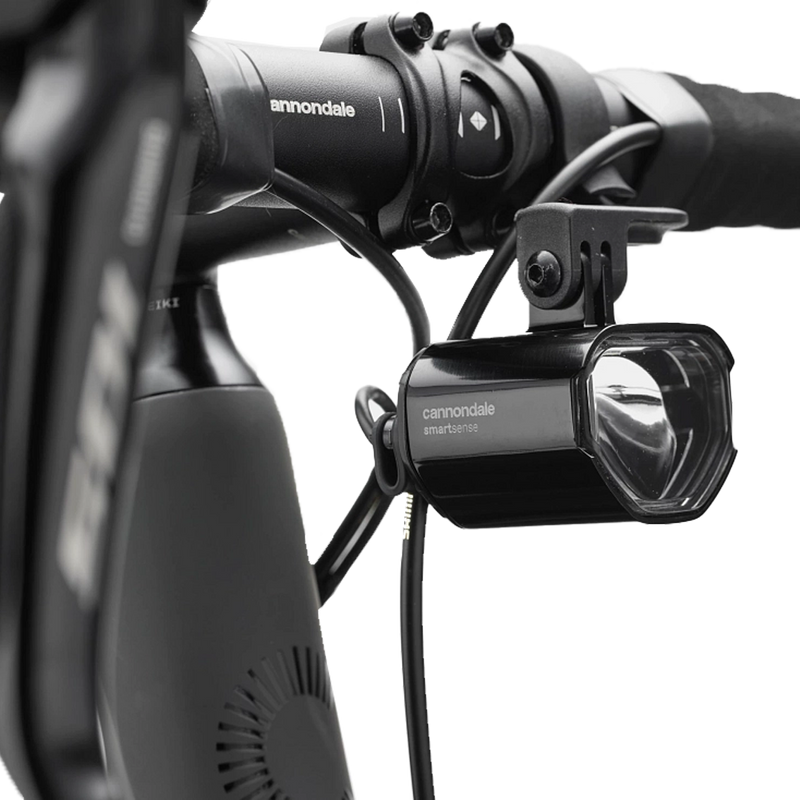 Synapse Carbon 2 LE – Sports Basement