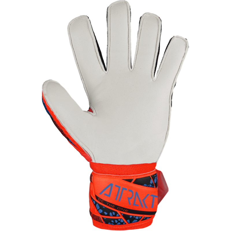 Youth Attrakt Solid FS Glove, Reusch Youth Attrakt Solid FS Glove 2024 in 2210-Orange/Blue  palm of left glove