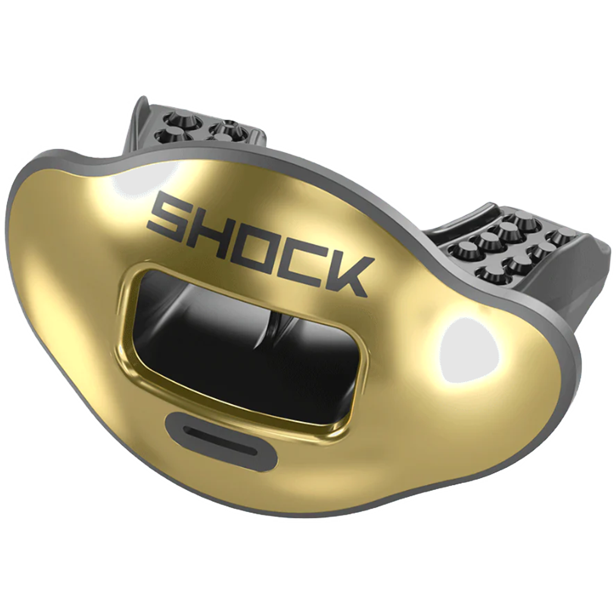 Max AirFlow Lip Guard Chrome alternate view