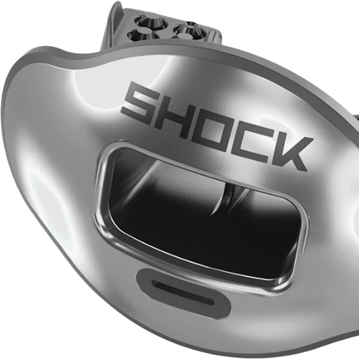 Max AirFlow Lip Guard Chrome alternate view