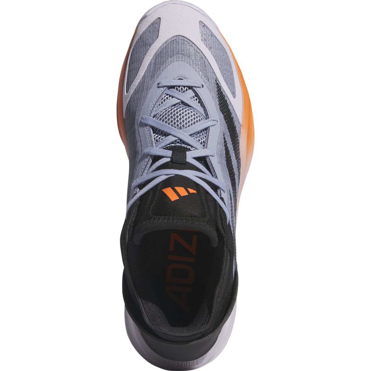 Adizeo Select 2.0 alternate view