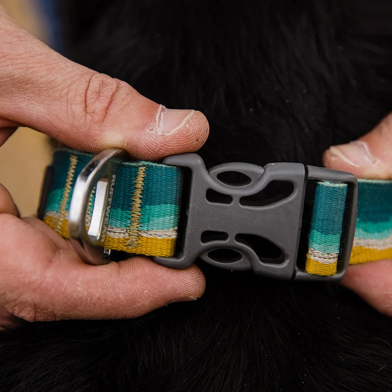 Crag Reflective Dog Collar, Ruffwear Crag Reflective Dog Collar on dog