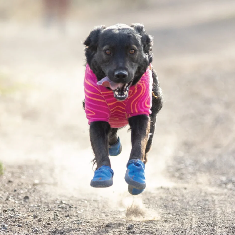 Hi and Light Trail Shoes, Ruffwear Hi and Light Trail Shoes on happy running dog
