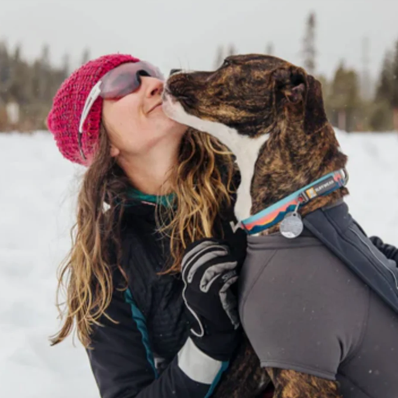Crag Reflective Dog Collar, Ruffwear Crag Reflective Dog Collar on cute dog