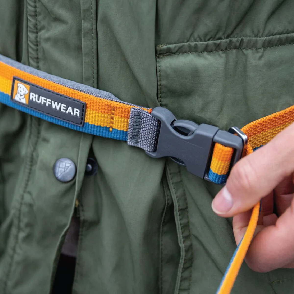 Roamer Bungee Leash alternate view