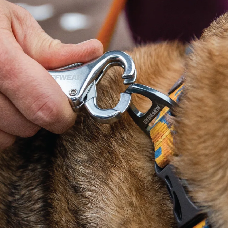 Ruffwear Roamer Dog Leash