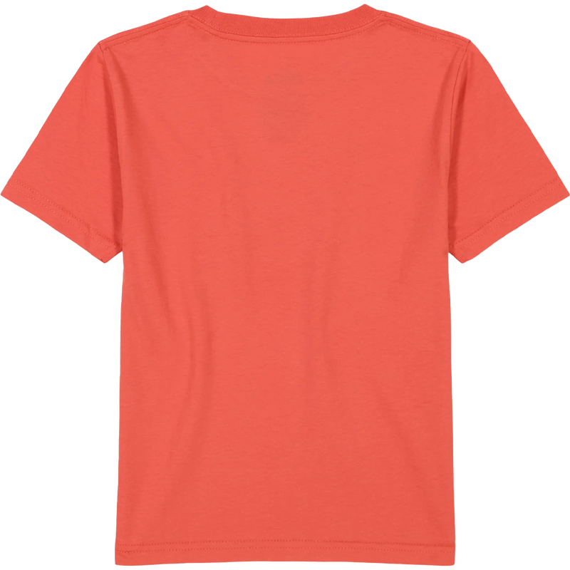 Youth Retro Skull Short Sleeve, Quiksilver Youth Retro Skull Short Sleeve back