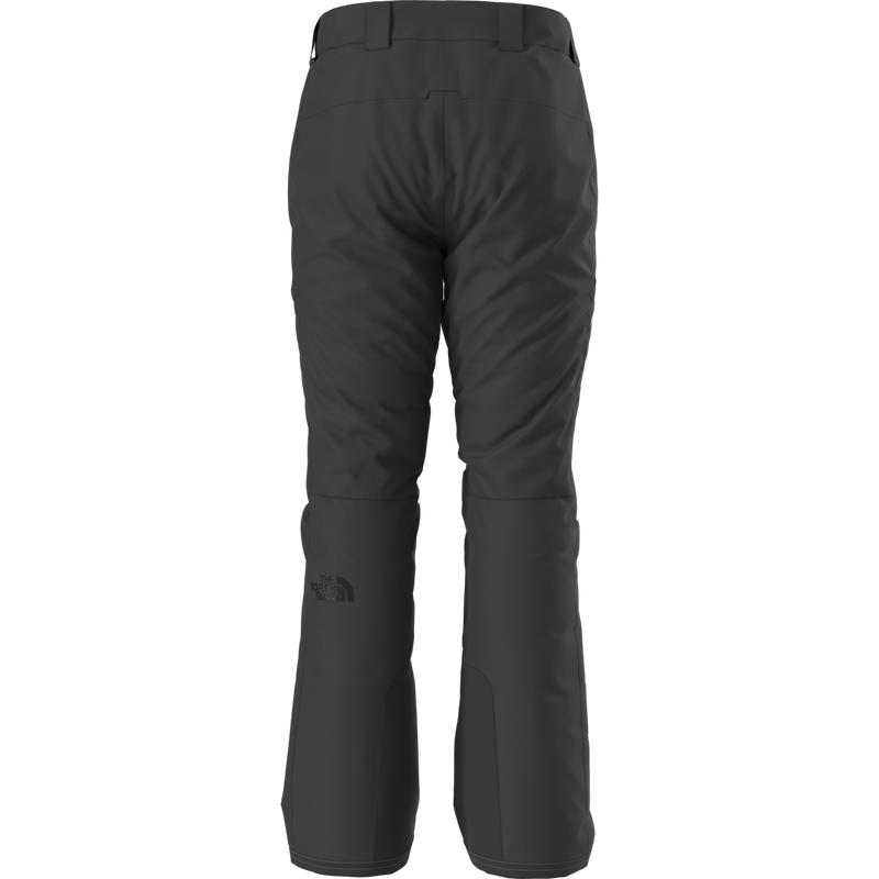 Men's Chakal Pant, The North Face Men's Chakal Pant in KX7-TNF Black/TNF Black back