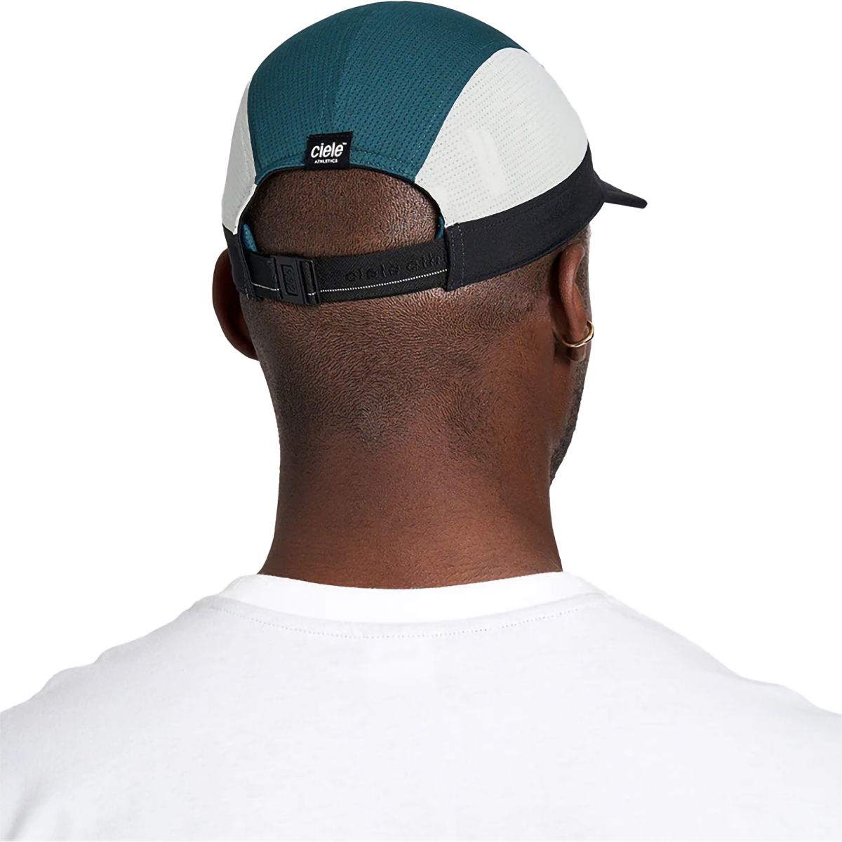 ALZCap - Horizon alternate view