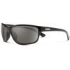 Black/Polarized Gray