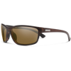 Burnished Brown/Polarized Brown