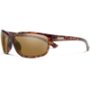 Tortoise/Polarized Brown