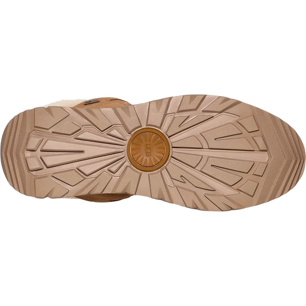 Women's TerreTrail Cozy Lace alternate view