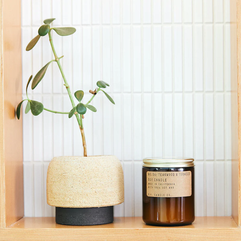 Teakwood & Tobacco 7.2oz Candle, P.F. Candle Co. Teakwood & Tobacco - 7.2oz with plant
