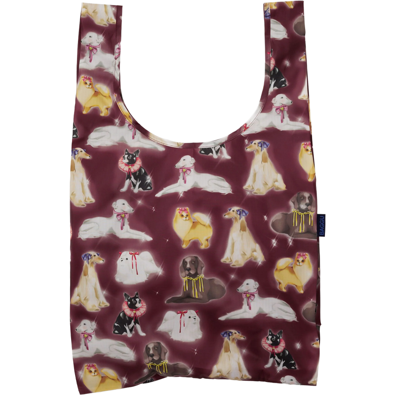 Standard Baggu, Featured Image