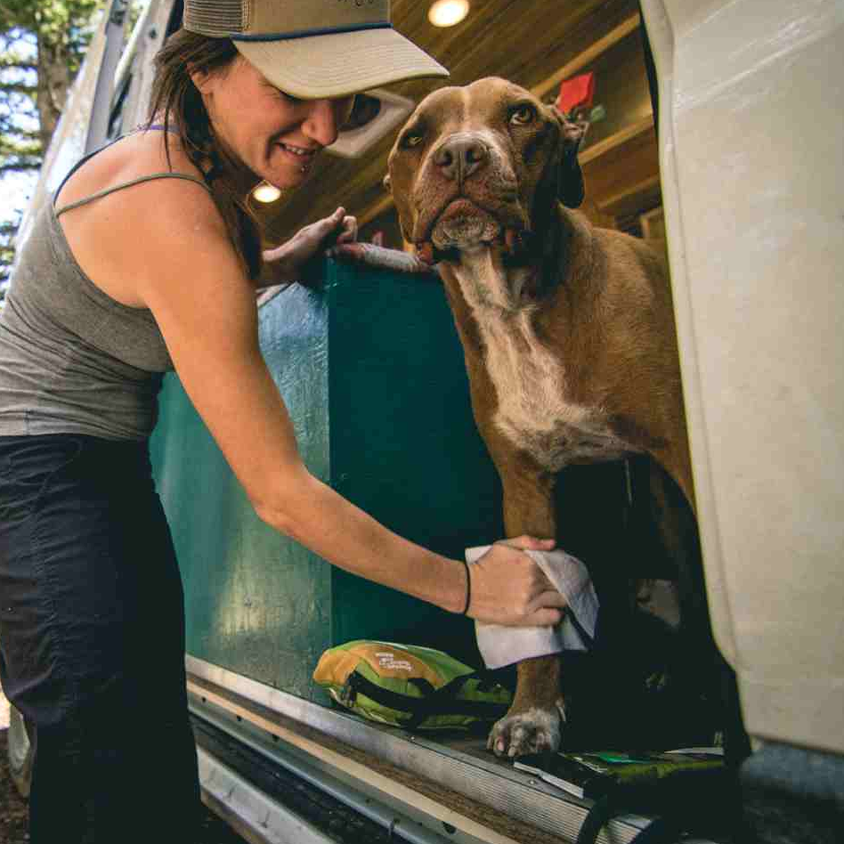 Adventure Dog Wipes alternate view