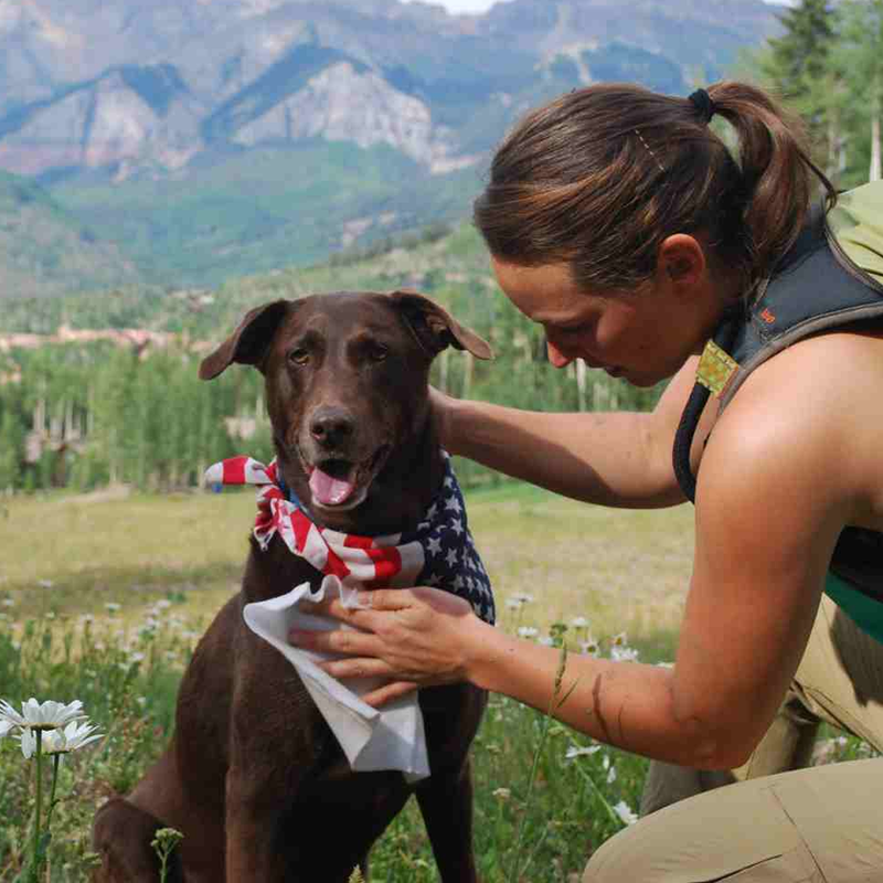Adventure Dog Wipes, Adventure Medical Adventure Dog Wipes on trail