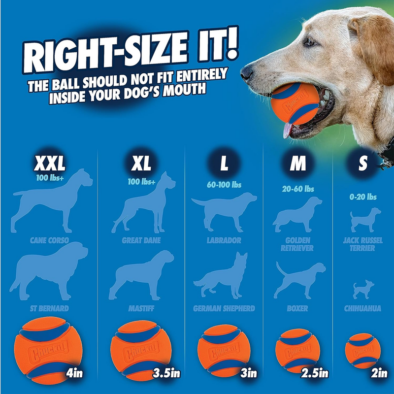 Sport 18M Launcher, ChuckIt! Sport 18M Launcher Size Chart