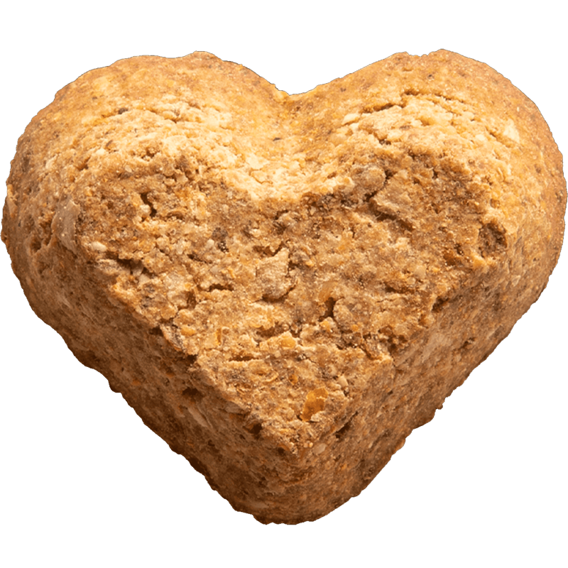 Campfire Feast Baked Dog Biscuits, GivePet Campfire Feast Baked Dog Biscuits heart shape