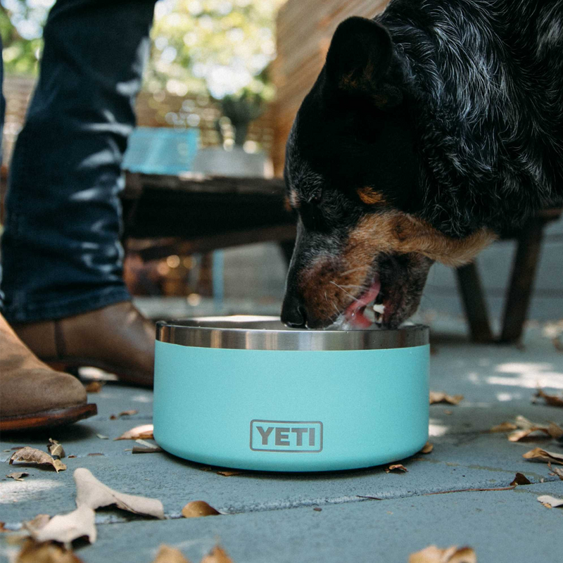 Boomer 8 Dog Bowl, Yeti Boomer 8 Dog Bowl with dog