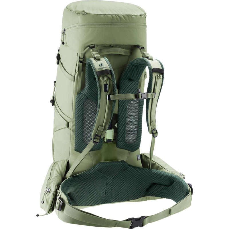 Aircontact Core 45+10 SL, Deuter Aircontact Core 45+10 SL in Grove-Ivy back left