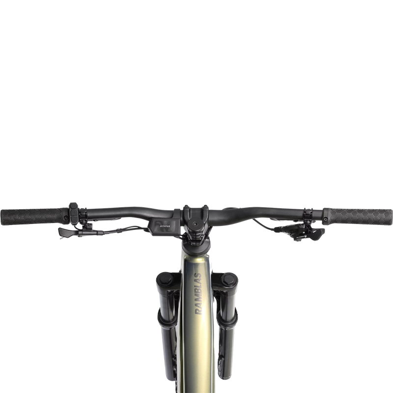 Ramblas eMTB, Aventon Ramblas eMTB back