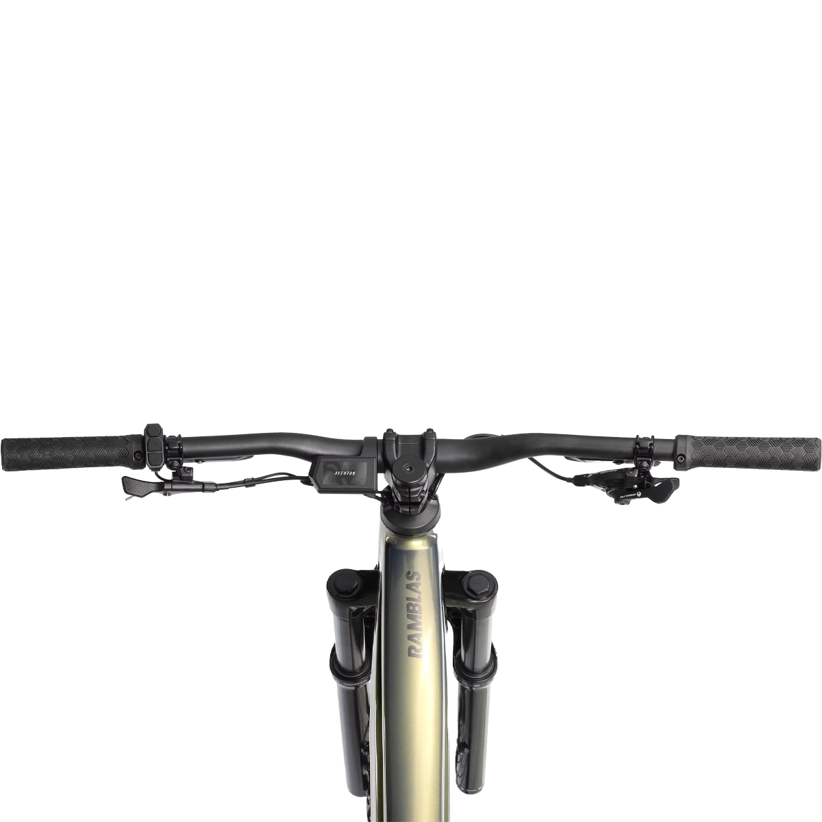 Ramblas eMTB alternate view