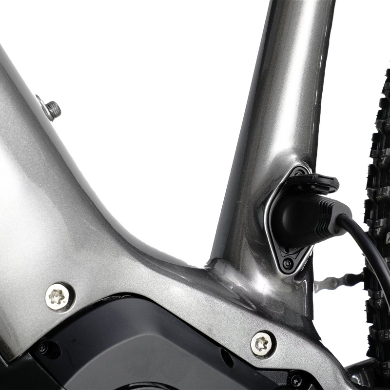 Ramblas eMTB, Aventon Ramblas eMTB plug