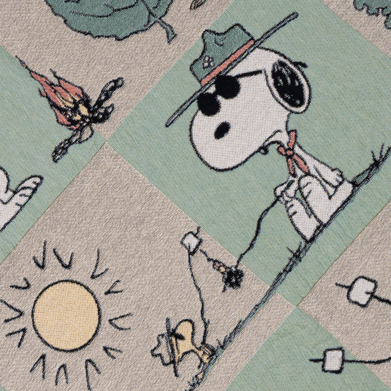 Peanuts x Parks Project Woven Blanket, Parks Project Peanuts x Parks Project Woven Blanket graphics
