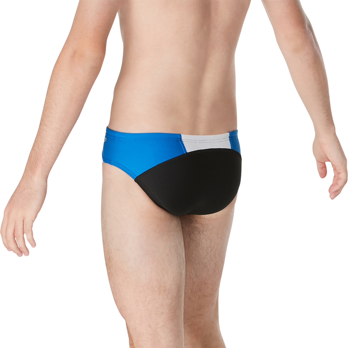 Speedo Dual Colorblock One Brief Back