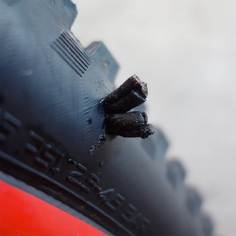 Racer Pro - Pewter, Dynaplug Racer Pro Ano - Pewter plug in tire