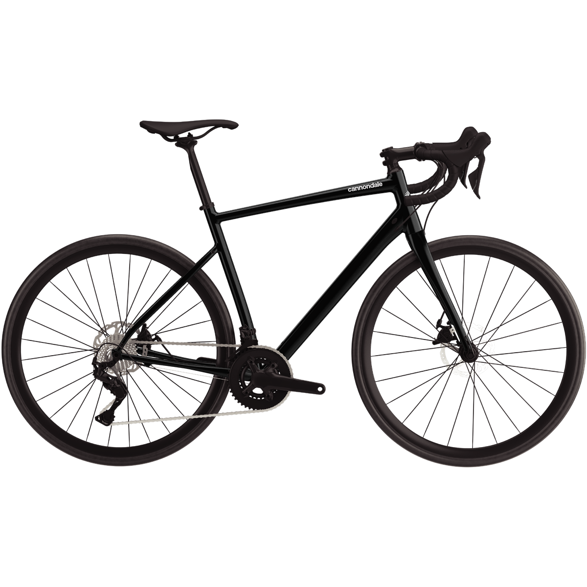Synapse 1 – Sports Basement