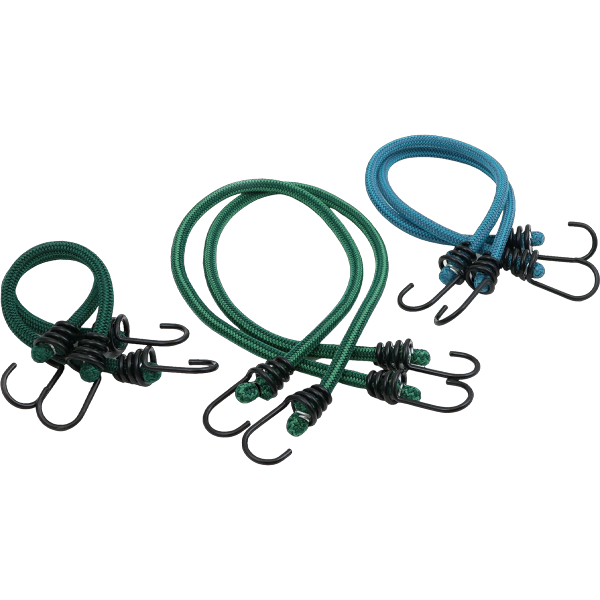 Assorted Bungee Cords - 6 Pack – Sports Basement