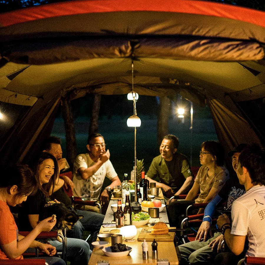 Land Lock Ivory alternate view