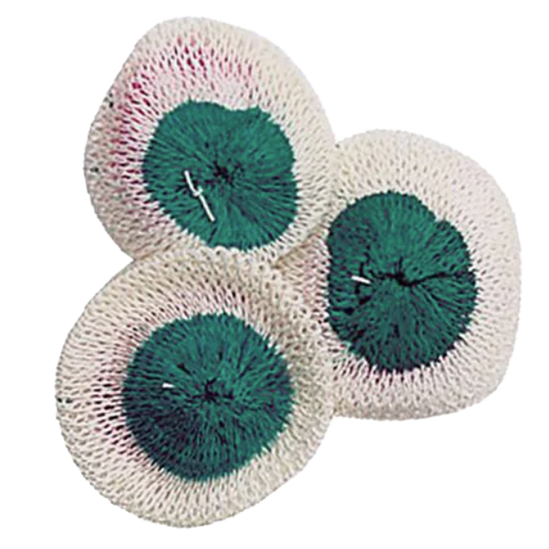 Small Lantern Mantles, Featured Image
