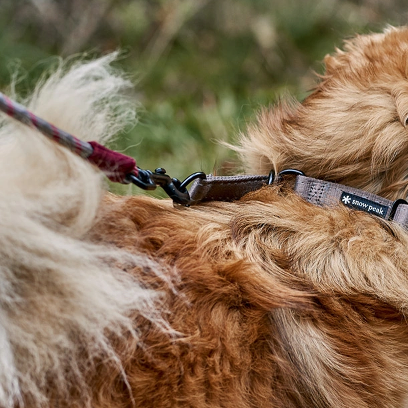 SP Rope Lead L, Snow Peak SP Rope Lead on dog