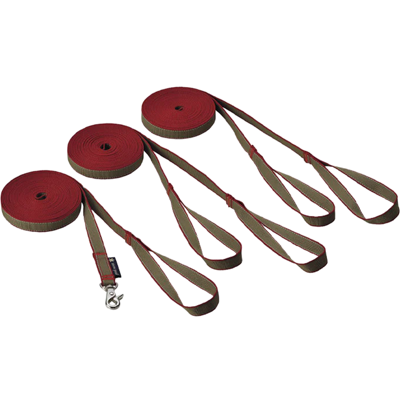 Adjustable Lead Set, Featured Image