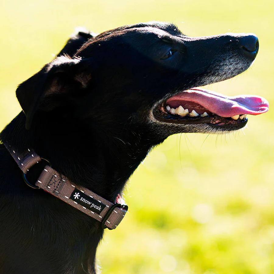 SP Slip Collar L alternate view
