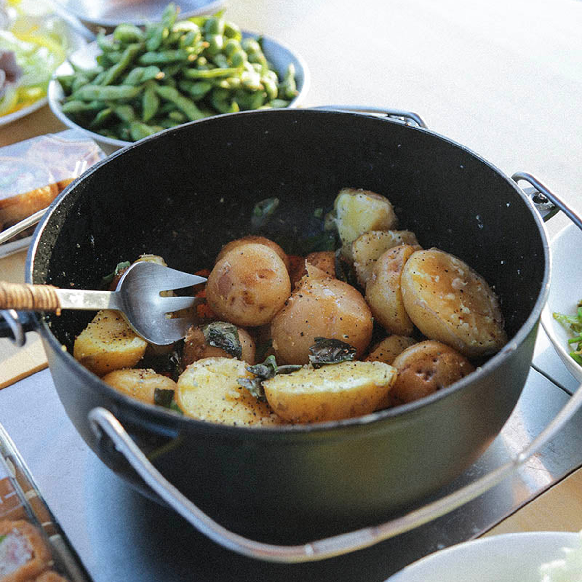 Japanese Cast Iron Oven alternate view