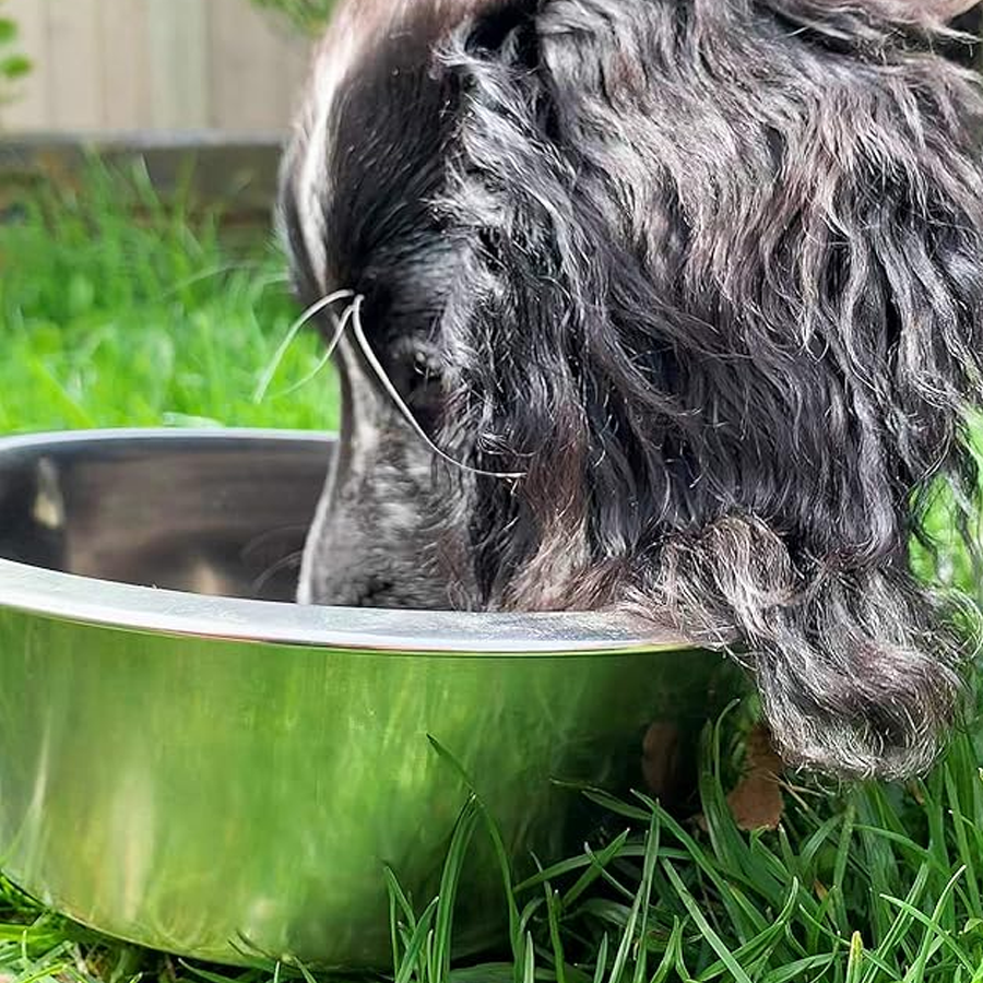 Dog Bowl S alternate view
