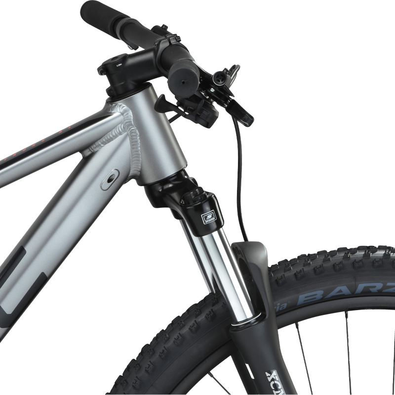 Twostroke AL SIX, BMC Twostroke AL SIX side