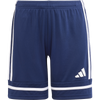 Navy/White