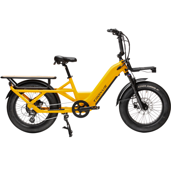 SB Rentals Troxus Lynx Cargo E-Bike