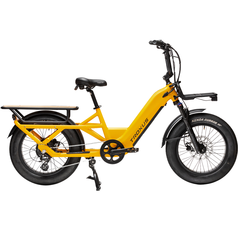 Troxus Lynx Cargo E-Bike, Featured Image