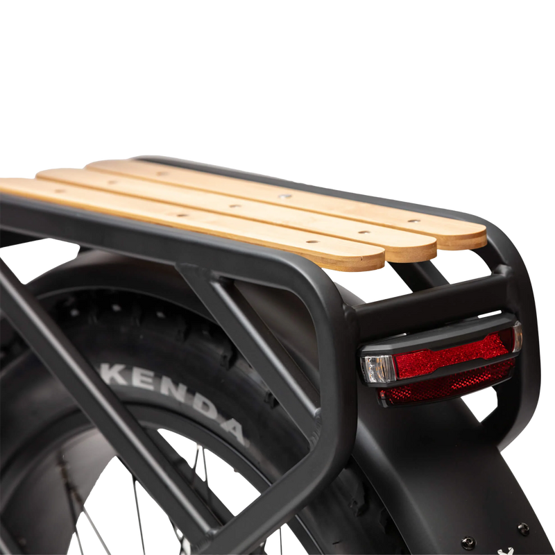 Explorer Plus Step-Thru, Troxus Explorer Plus Step-Thru back light